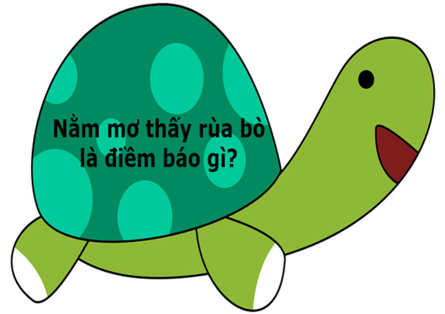 Điềm báo giấc mơ rùa bò