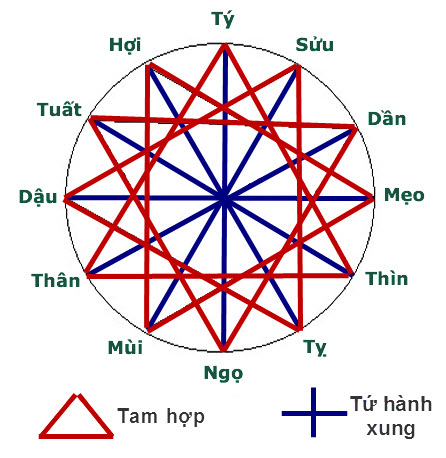 tam hợp là gì