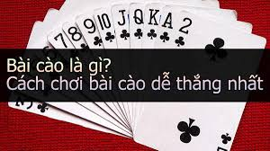 Tổng hợp các cách chơi bài cào