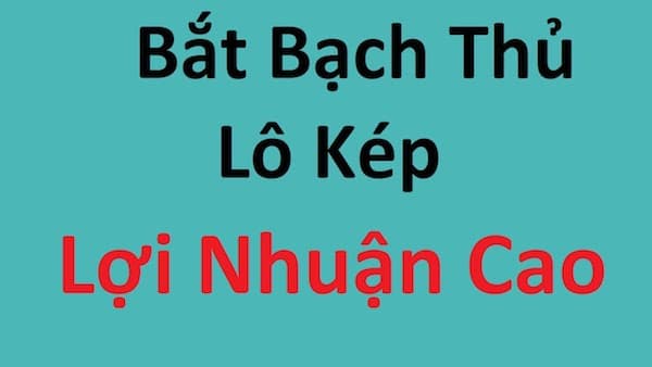 Cách bắt bạch thủ lô kép