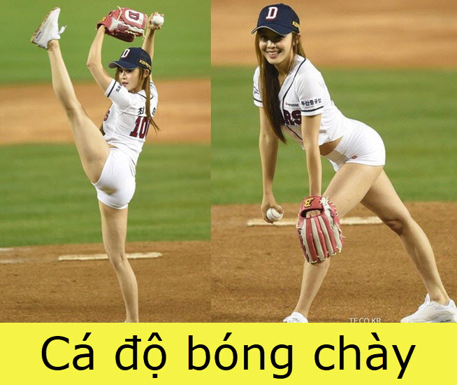 cá độ bóng chày