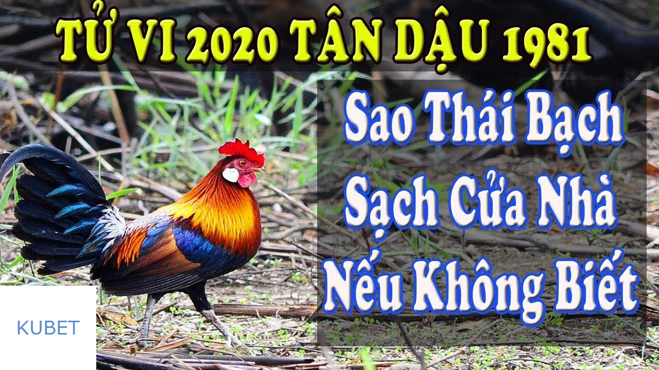 Tuổi Tân Dậu xây nhà năm 2020 có tốt không?