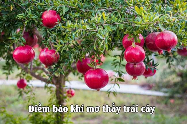 Mơ thấy trái cây luôn kèm theo những điềm báo tương lai