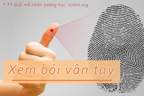 Xem bói vân tay có ý nghĩa gì